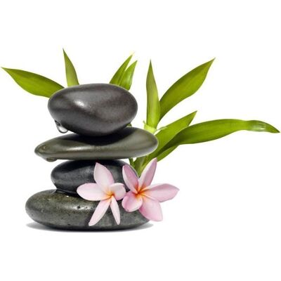Stickers décoratif - galets fleur zen - Dimensions:30x20cm - Publicité Stickers décoratif - galets fleur zen - Dimensions:30x20cm - Publicité