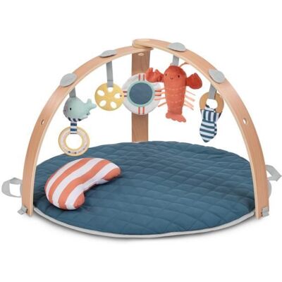 INGENUITY Tapis déveil réversible bébé évolutif - Marin - pliable arche de jeu en bois amovible 5 jouets miroir coussin Bleu - Publicité INGENUITY Tapis déveil réversible bébé évolutif - Marin - pliable arche de jeu en bois amovible 5 jouets miroir coussin Bleu - Publicité