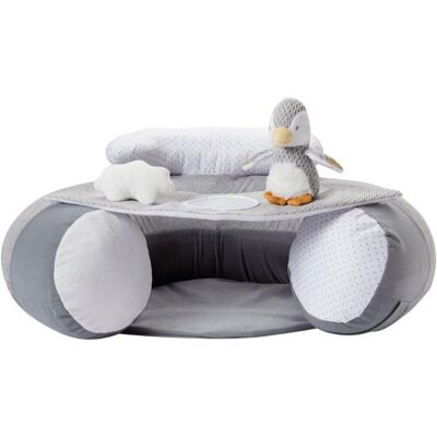 Nuby Penguin Siège pour Bébé - Siège gonflable pour s'asseoir et jouer avec plateau détachable - Publicité Nuby Penguin Siège pour Bébé - Siège gonflable pour s'asseoir et jouer avec plateau détachable - Publicité