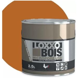 Loxxo Peinture Laque Satinée Terre de Sienne - Peinture - Publicité Loxxo Peinture Laque Satinée Terre de Sienne - Peinture - Publicité