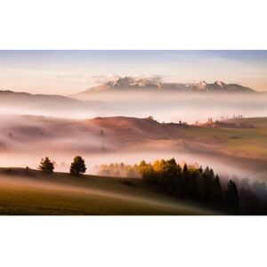 Photo Art Papier Peint INTISSÉ-MONTAGNE MATIN-(216555)-8 lés-400x260cm-Mural Poster Géant XXL-Animaux Mer Beach Océan Nature Forêt - Publicité Photo Art Papier Peint INTISSÉ-MONTAGNE MATIN-(216555)-8 lés-400x260cm-Mural Poster Géant XXL-Animaux Mer Beach Océan Nature Forêt - Publicité