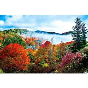 Papier Peint Photo INTISSÉ-(184277)-MONTAGNE DAUTOMNE-350x260cm-7 lés-Mural Poster Géant XXL-Animaux Nature Jungle Forêt Dune - Publicité Papier Peint Photo INTISSÉ-(184277)-MONTAGNE DAUTOMNE-350x260cm-7 lés-Mural Poster Géant XXL-Animaux Nature Jungle Forêt Dune - Publicité