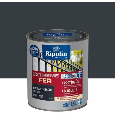 Peinture pour métal gris Ripolin - 0,5L - Antirouille, Durable - Publicité Peinture pour métal gris Ripolin - 0,5L - Antirouille, Durable - Publicité