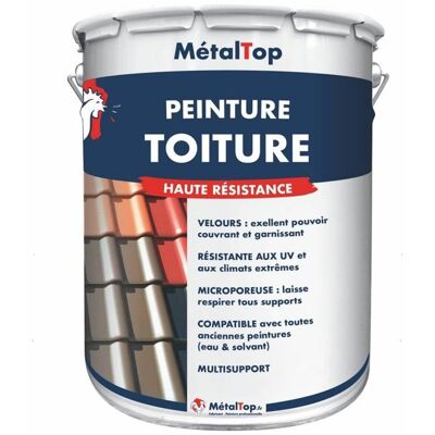 Peinture Toiture - Pot 5 L - Metaltop - 7016 - Gris anthracite Gris - Publicité Peinture Toiture - Pot 5 L - Metaltop - 7016 - Gris anthracite Gris - Publicité