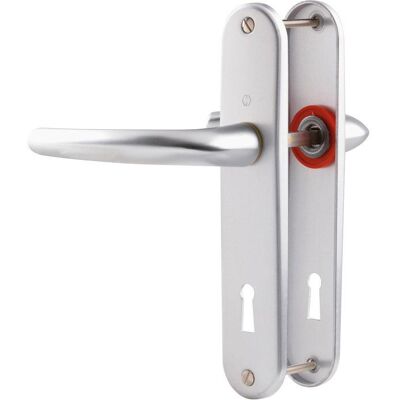 Ensemble Petite Porte Argentée - Type de Porte - Publicité Ensemble Petite Porte Argentée - Type de Porte - Publicité
