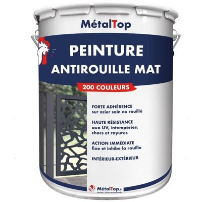 Peinture Antirouille Mat - Pot 5 L - Metaltop - 7021 - Gris noir Noir - Publicité Peinture Antirouille Mat - Pot 5 L - Metaltop - 7021 - Gris noir Noir - Publicité
