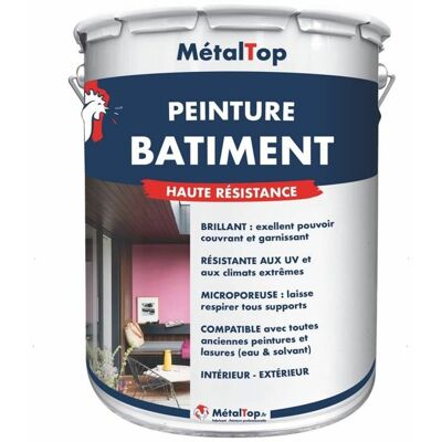 Peinture Batiment - Pot 5 L - Metaltop - 7016 - Gris anthracite Gris - Publicité Peinture Batiment - Pot 5 L - Metaltop - 7016 - Gris anthracite Gris - Publicité