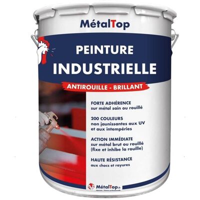 Peinture Industrielle - Pot 5 L - Metaltop - 3003 - Rouge rubis Rouge - Publicité Peinture Industrielle - Pot 5 L - Metaltop - 3003 - Rouge rubis Rouge - Publicité