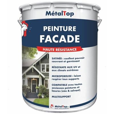 Peinture Facade - Pot 5 L - Metaltop - 6021 - Vert pâle Vert - Publicité Peinture Facade - Pot 5 L - Metaltop - 6021 - Vert pâle Vert - Publicité