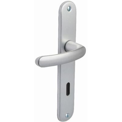 Ensemble de porte - VACHETTE - 73268 - Argent - Entraxe 165 mm - Aluminium Gris - Publicité Ensemble de porte - VACHETTE - 73268 - Argent - Entraxe 165 mm - Aluminium Gris - Publicité