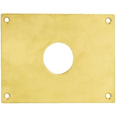 HERACLES - 251852-TR34 - 120 x 80 mm - Laiton poli - Plaque - Publicité HERACLES - 251852-TR34 - 120 x 80 mm - Laiton poli - Plaque - Publicité