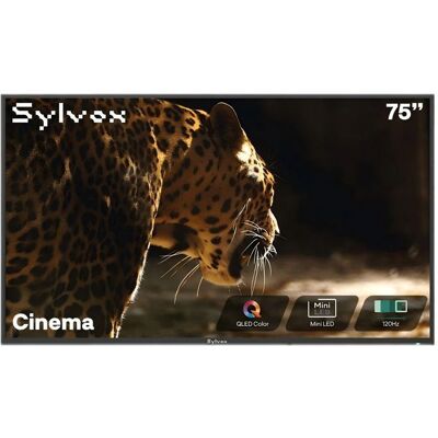 Télévision QLED - SYLVOX Helio - 75 4K UHD - 120Hz 2000 nits - IP55 Google TV Noir - Publicité Télévision QLED - SYLVOX Helio - 75 4K UHD - 120Hz 2000 nits - IP55 Google TV Noir - Publicité