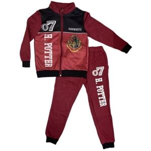 Ensemble de Jogging Unisexe Harry Potter 12 Ans-152 Cm - Publicité Ensemble de Jogging Unisexe Harry Potter 12 Ans-152 Cm - Publicité