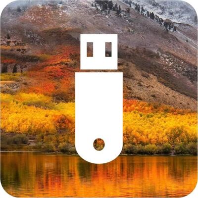 Generic Clé dInstallation USB Compatible avec macOS 10.13 High Sierra USB OS X Clé dinstallation Amorçable Récupération Bootable - Inst - Publicité Generic Clé dInstallation USB Compatible avec macOS 10.13 High Sierra USB OS X Clé dinstallation Amorçable Récupération Bootable - Inst - Publicité