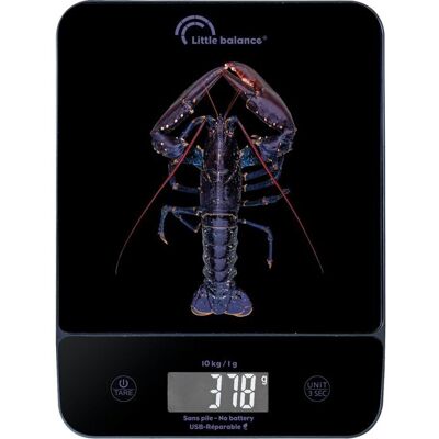 Balance de cuisine LITTLE BALANCE 8710 - Publicité Balance de cuisine LITTLE BALANCE 8710 - Publicité