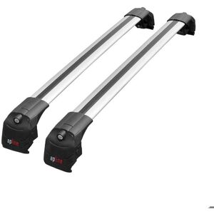 Barres de Toit pour Renault Captur 2 2019-2026 ACE-2 Railing Porte-Bagages de Voiture Gris Aluminium 2 Barres Gris - Publicité Barres de Toit pour Renault Captur 2 2019-2026 ACE-2 Railing Porte-Bagages de Voiture Gris Aluminium 2 Barres Gris - Publicité