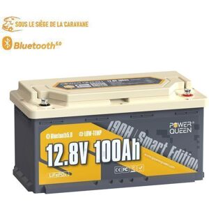 Power Queen Batterie Lithium LiFePO4 12V100Ah Sous Siège de Fourgon Bluetooth5.0 H188mm panneaux solaire hors réseau camping Gris - Publicité Power Queen Batterie Lithium LiFePO4 12V100Ah Sous Siège de Fourgon Bluetooth5.0 H188mm panneaux solaire hors réseau camping Gris - Publicité