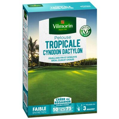 Gazon - Vilmorin - Pelouse Tropicale - Cynodon Dactylon - 500 g (x2) - Publicité Gazon - Vilmorin - Pelouse Tropicale - Cynodon Dactylon - 500 g (x2) - Publicité