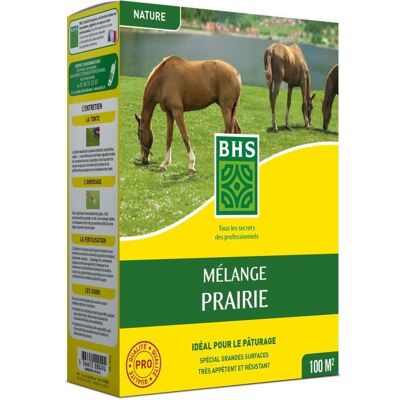 Mélange Prairie BHS 1kg pour grandes surfaces - Graines de gazon - Publicité Mélange Prairie BHS 1kg pour grandes surfaces - Graines de gazon - Publicité