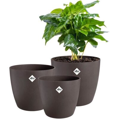 ELHO Lot de 3 pots de fleurs rond The Coffee Collection - Ø14xH126cm Ø16xH147cm Ø18xH168 cm - 7 L - Marron Marron - Publicité ELHO Lot de 3 pots de fleurs rond The Coffee Collection - Ø14xH126cm Ø16xH147cm Ø18xH168 cm - 7 L - Marron Marron - Publicité