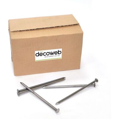Decoweb - clous 5,5 mm x 140 mm, tête 9 mm, boîte de 5 kg pour gazon synthétique - Publicité Decoweb - clous 5,5 mm x 140 mm, tête 9 mm, boîte de 5 kg pour gazon synthétique - Publicité