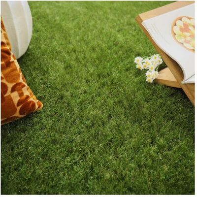DECOWEB Gazon synthétique Home - 40 mm - Rouleau de 3m x 9m - Publicité DECOWEB Gazon synthétique Home - 40 mm - Rouleau de 3m x 9m - Publicité