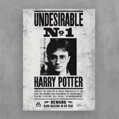 Affiche Décoration Murale - PYRAMID - Harry Potter - Avis de Recherche - 42 x 32 cm - Mixte - Publicité Affiche Décoration Murale - PYRAMID - Harry Potter - Avis de Recherche - 42 x 32 cm - Mixte - Publicité