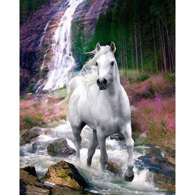 GB EYE Bob Langrish - Cheval - 40x50cm - Affiche / Poster - Publicité GB EYE Bob Langrish - Cheval - 40x50cm - Affiche / Poster - Publicité