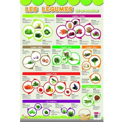 AC-DÉCO Poster pédagogique - Légumes - 52 x 76 cm Noir - Publicité AC-DÉCO Poster pédagogique - Légumes - 52 x 76 cm Noir - Publicité