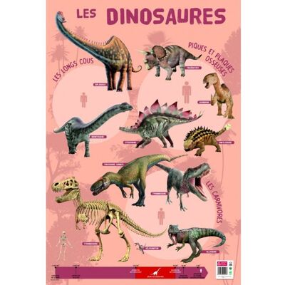 AC-DÉCO Poster pédagogique - Dinosaures - 52 x 76 cm - Publicité AC-DÉCO Poster pédagogique - Dinosaures - 52 x 76 cm - Publicité