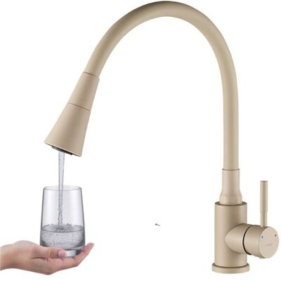 Robinet sur pied Selva Kuchinox avec bec flexible beige Beige - Publicité Robinet sur pied Selva Kuchinox avec bec flexible beige Beige - Publicité