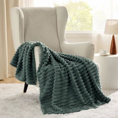 Bedsure Velours Côtelé Fleece - Plaid Chaud pour Chambre & Salon - Doux et Cocooning - Vert Colvert - 150x200cm Vert - Publicité Bedsure Velours Côtelé Fleece - Plaid Chaud pour Chambre & Salon - Doux et Cocooning - Vert Colvert - 150x200cm Vert - Publicité
