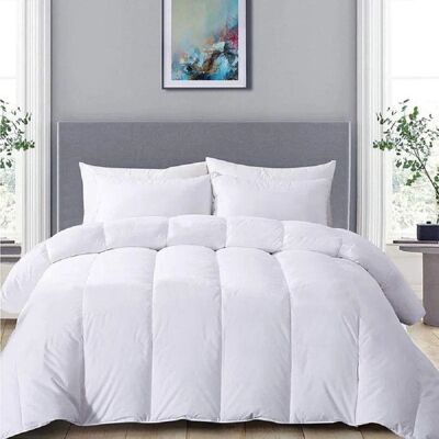 ALPES BLANC Couette hiver super chaude 500 g/m² 220x240 cm - Garnissage synthétique fibre creuse – Fabrication française Blanc - Publicité ALPES BLANC Couette hiver super chaude 500 g/m² 220x240 cm - Garnissage synthétique fibre creuse – Fabrication française Blanc - Publicité