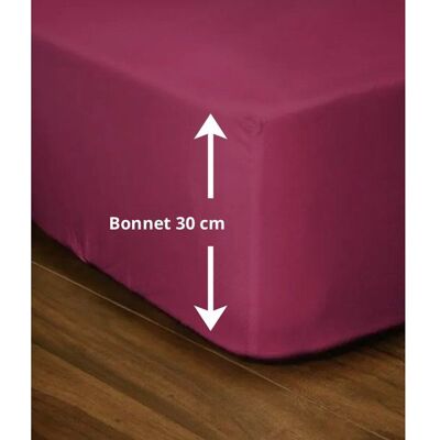 Drap-housse Lovely Home LH71610 Rose Fuchsia Lit double - Drap-housse ajustable - Publicité Drap-housse Lovely Home LH71610 Rose Fuchsia Lit double - Drap-housse ajustable - Publicité
