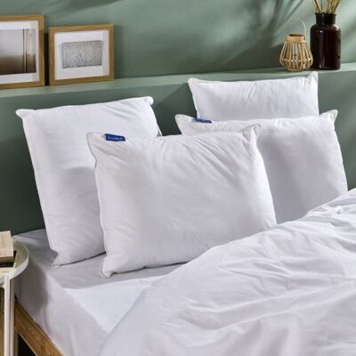 Câlin Bleu Lot de 2 Oreillers Ferme - Percale de Coton, Fabriqué en France - Publicité Câlin Bleu Lot de 2 Oreillers Ferme - Percale de Coton, Fabriqué en France - Publicité