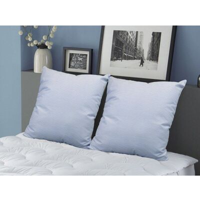 VENTE-UNIQUE Lot de 2 oreillers DODO naturels fermes plumettes - 60x60 cm - MERIBEL Blanc - Publicité VENTE-UNIQUE Lot de 2 oreillers DODO naturels fermes plumettes - 60x60 cm - MERIBEL Blanc - Publicité
