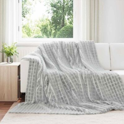 VIDAXL Plaid polaire Gris 240 x 220 cm - Jeté doux et léger pour salon Gris - Publicité VIDAXL Plaid polaire Gris 240 x 220 cm - Jeté doux et léger pour salon Gris - Publicité