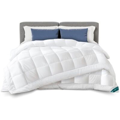 VOUNOT Duvet 4 Saisons 200x200 cm 3 en 1 - 200g/m²+ 300g/m²= 500g/m² Microfibre Moelleuse - Publicité VOUNOT Duvet 4 Saisons 200x200 cm 3 en 1 - 200g/m²+ 300g/m²= 500g/m² Microfibre Moelleuse - Publicité