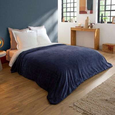 DODO - Couverture Polaire Extra Douce Coloris Bleu - 180 x 220 cm Bleu - Publicité DODO - Couverture Polaire Extra Douce Coloris Bleu - 180 x 220 cm Bleu - Publicité