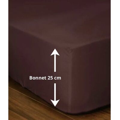 Drap-housse Ajustable Lovely Home LH71599 Marron - Microfibre Double - Publicité Drap-housse Ajustable Lovely Home LH71599 Marron - Microfibre Double - Publicité