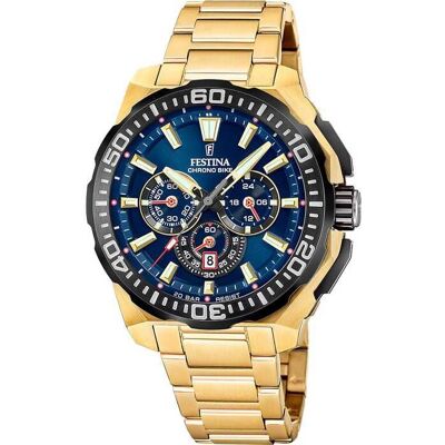 Montre - Acier Or - Festina - F20727/1 - Publicité Montre - Acier Or - Festina - F20727/1 - Publicité