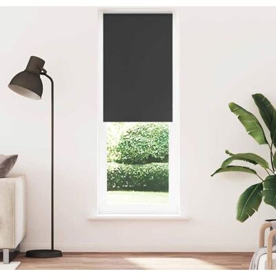 Stores enrouleurs vidaXL - 75x230cm - Contrôle de Lumière & Intimité - Publicité Stores enrouleurs vidaXL - 75x230cm - Contrôle de Lumière & Intimité - Publicité