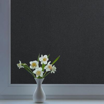 RABBITGOO Film Fenetre Anti Regard Film Occultant Fenêtre Noir 45x200cm la Grille Design pour Couper Film Opaque pour Vitre pour Bureau Noir - Publicité RABBITGOO Film Fenetre Anti Regard Film Occultant Fenêtre Noir 45x200cm la Grille Design pour Couper Film Opaque pour Vitre pour Bureau Noir - Publicité