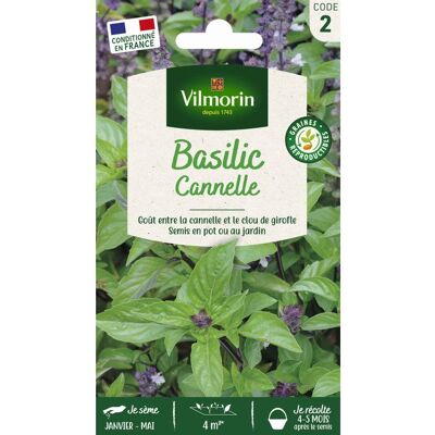 Graine - Vilmorin - Basilic Cannelle - Publicité Graine - Vilmorin - Basilic Cannelle - Publicité