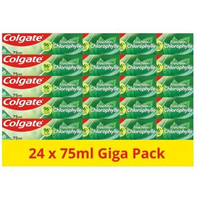 COLGATE - Dentifrice Chlorophyle Fraîcheur Intense - 96% dingrédients dorigine naturelle - lot de 24 x 75 ml - Publicité COLGATE - Dentifrice Chlorophyle Fraîcheur Intense - 96% dingrédients dorigine naturelle - lot de 24 x 75 ml - Publicité