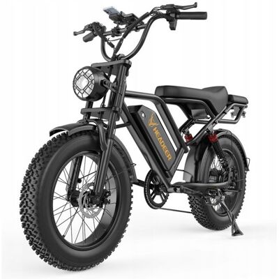 HEADEER BK20 Vélo Électrique Noir – Moteur 750W – Batterie 48V 20Ah – Autonomie 80km – Vitesse 50km/h – Pneus 20×4.0 Noir - Publicité HEADEER BK20 Vélo Électrique Noir – Moteur 750W – Batterie 48V 20Ah – Autonomie 80km – Vitesse 50km/h – Pneus 20×4.0 Noir - Publicité
