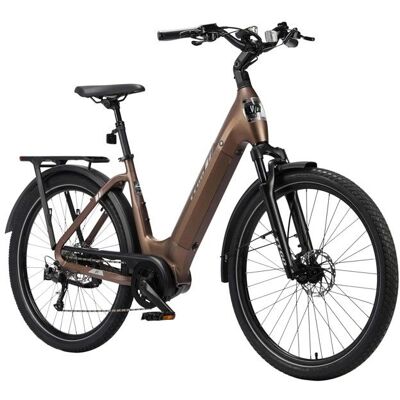 Vélo électrique TTGO Z5 moteur central 250 W batterie 36 V 18 Ah marron Gris - Publicité Vélo électrique TTGO Z5 moteur central 250 W batterie 36 V 18 Ah marron Gris - Publicité