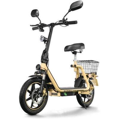 Vélo à assistance électrique TWOFISH-M5 Elite-E 500 W 48 V 13 Ah autonomie maximale de 30 km Jaune - Publicité Vélo à assistance électrique TWOFISH-M5 Elite-E 500 W 48 V 13 Ah autonomie maximale de 30 km Jaune - Publicité