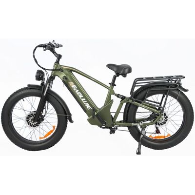 BAOLUJIE DP2401 Vélo Électrique Fat Bike Double Moteur 24 Vert Vert - Publicité BAOLUJIE DP2401 Vélo Électrique Fat Bike Double Moteur 24 Vert Vert - Publicité