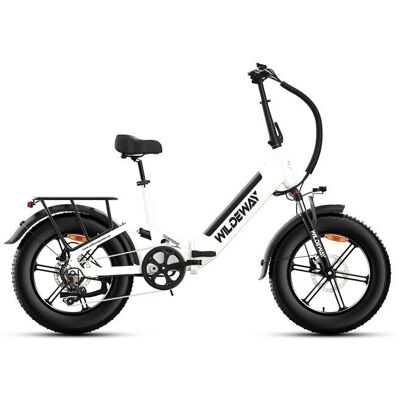 Wildeway Torpedo Vélo Électrique Pliant 20×4.0 Double Moteur 500W Batterie 48V 15Ah 7 Vitesses Tout-Terrain SuspensionBlanc Blanc - Publicité Wildeway Torpedo Vélo Électrique Pliant 20×4.0 Double Moteur 500W Batterie 48V 15Ah 7 Vitesses Tout-Terrain SuspensionBlanc Blanc - Publicité